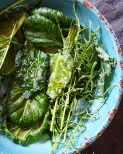 Fresh mixed salad greens and herbs used for warm grilled zucchini and cherry tomato salad