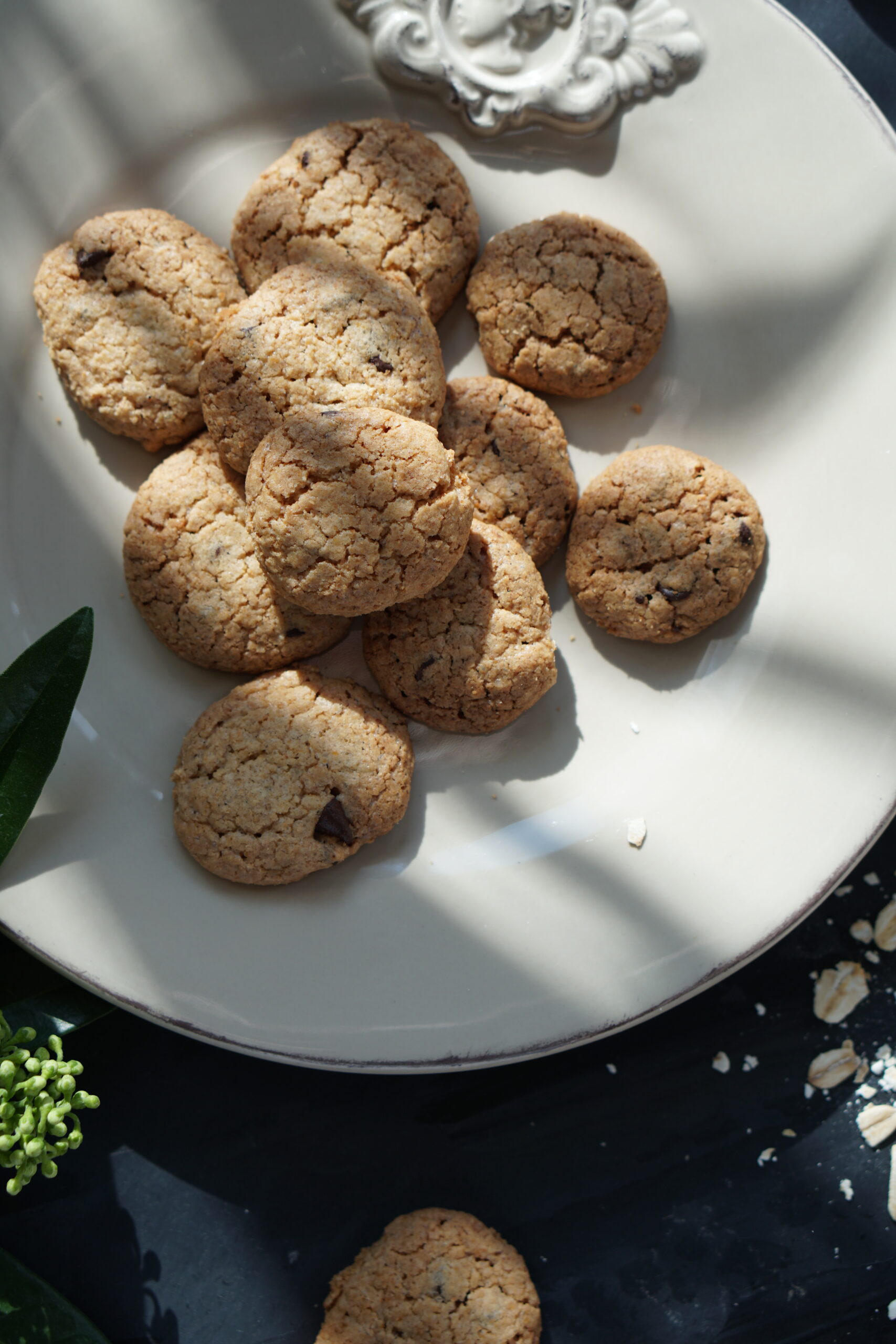 Overhead view of oatmeal chocolate chip cookies on a white plate
