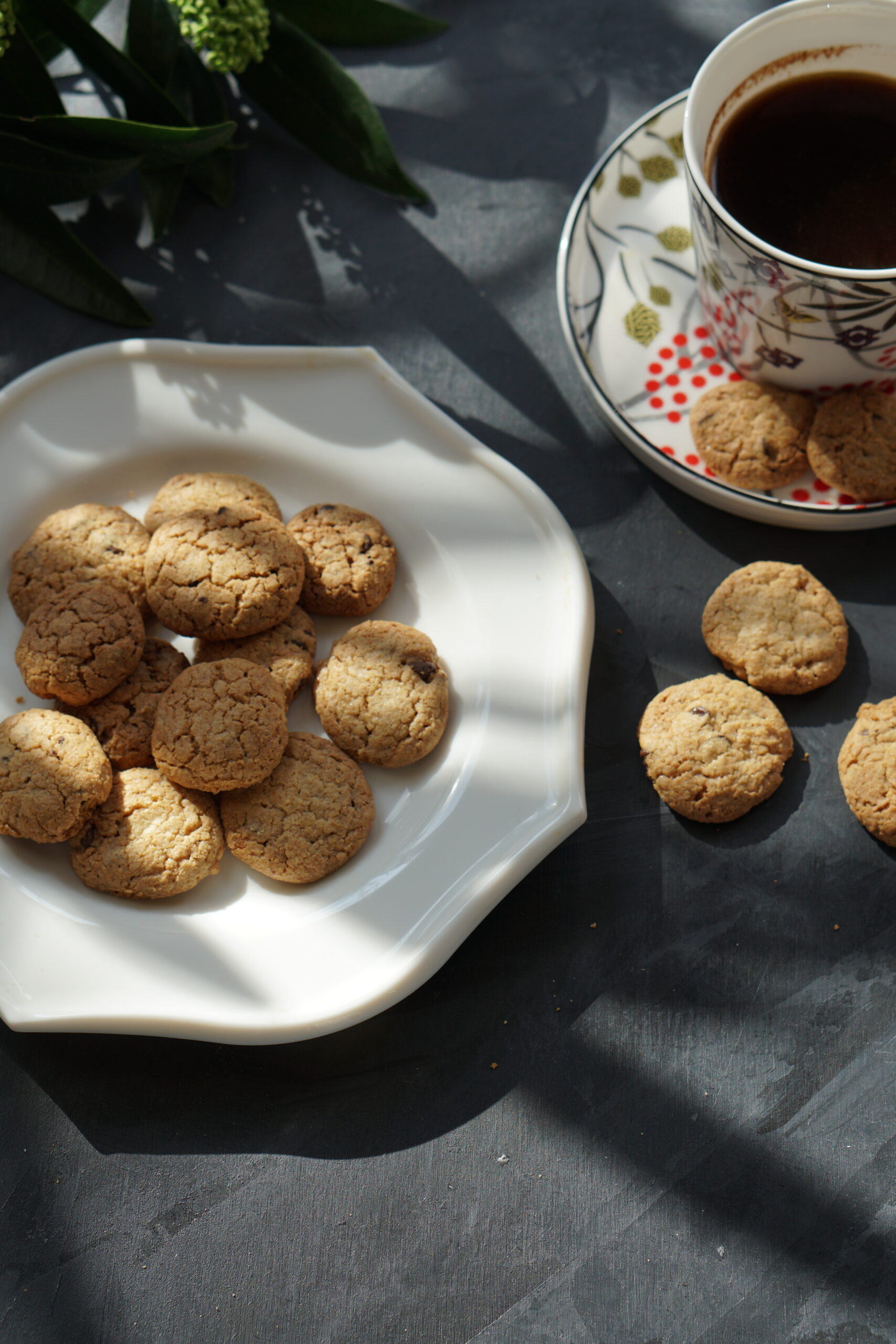 chewy oatmeal chocolate chip cookies